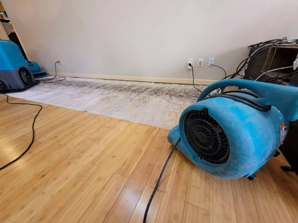 Professional Emergency Water Damage technician working in Sequim, WA
